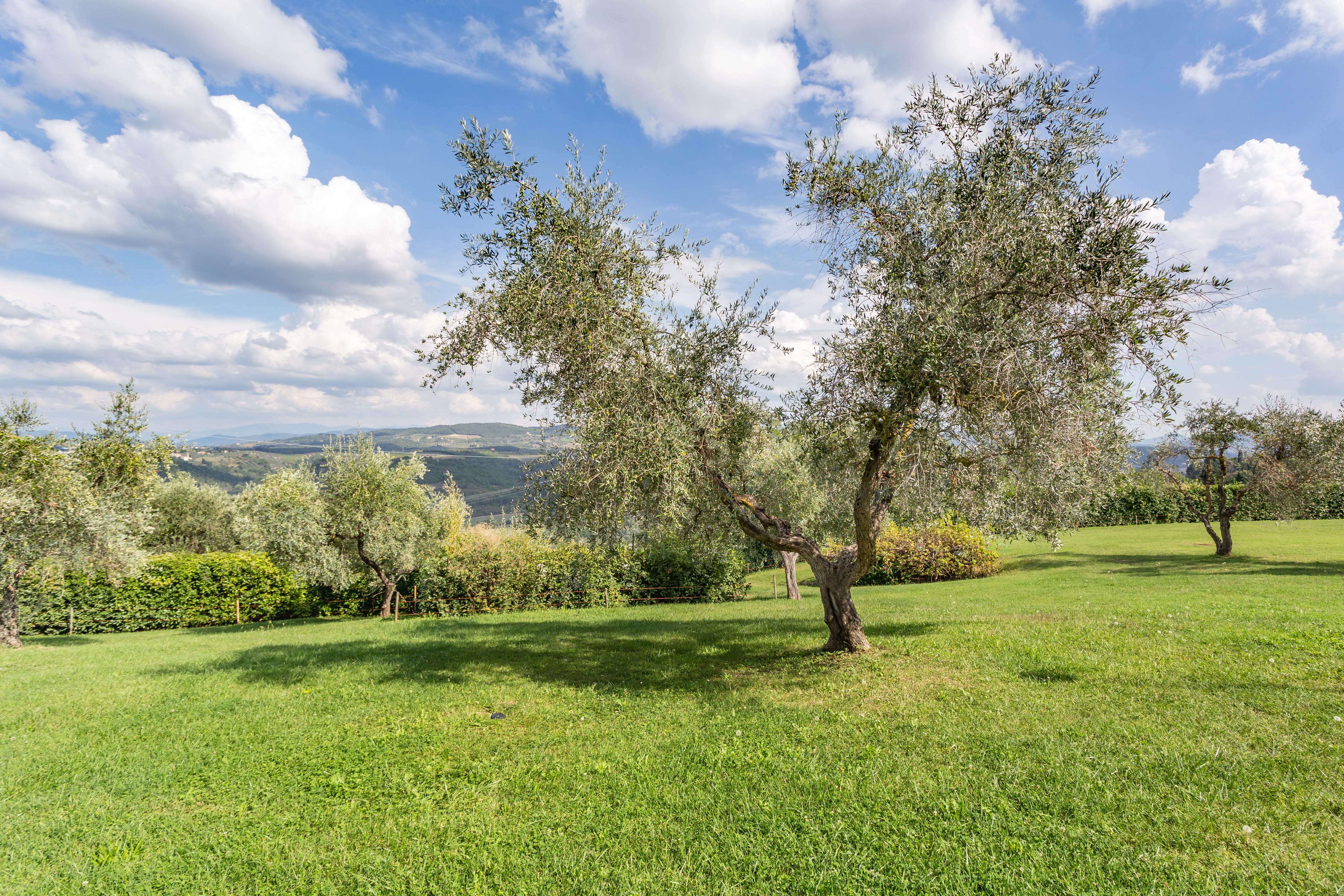 Fattoria Querceto
